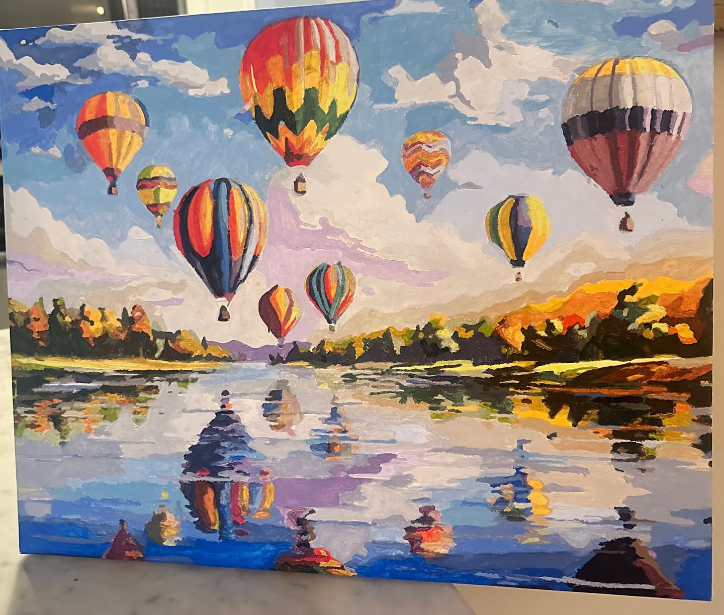 Customer photo review of Hot Air Balloon Elegance