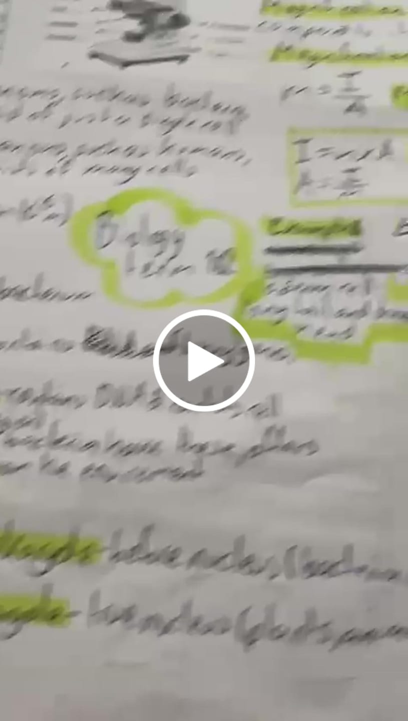 Customer video review of thermanote