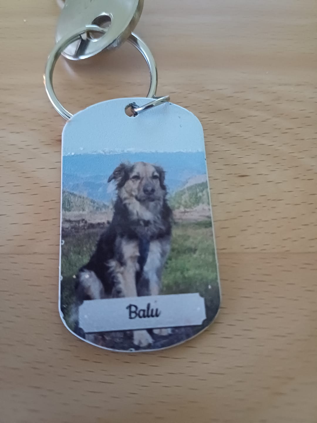Customer photo review of Doppeltes Foto - Individueller Dog Tag Schlüsselanhänger