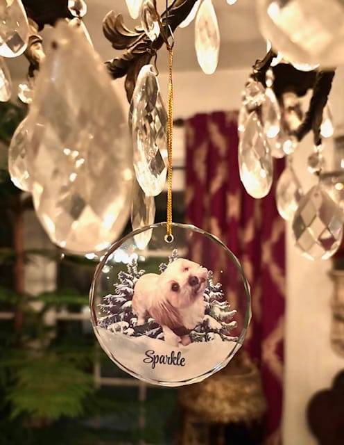 Customer photo review of Personalized Photo Dog Glass Ornament For Christmas