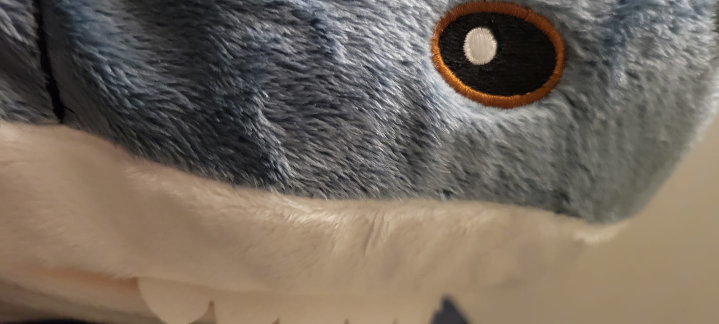 Customer photo review of Shork Plushie (4 SIZES)