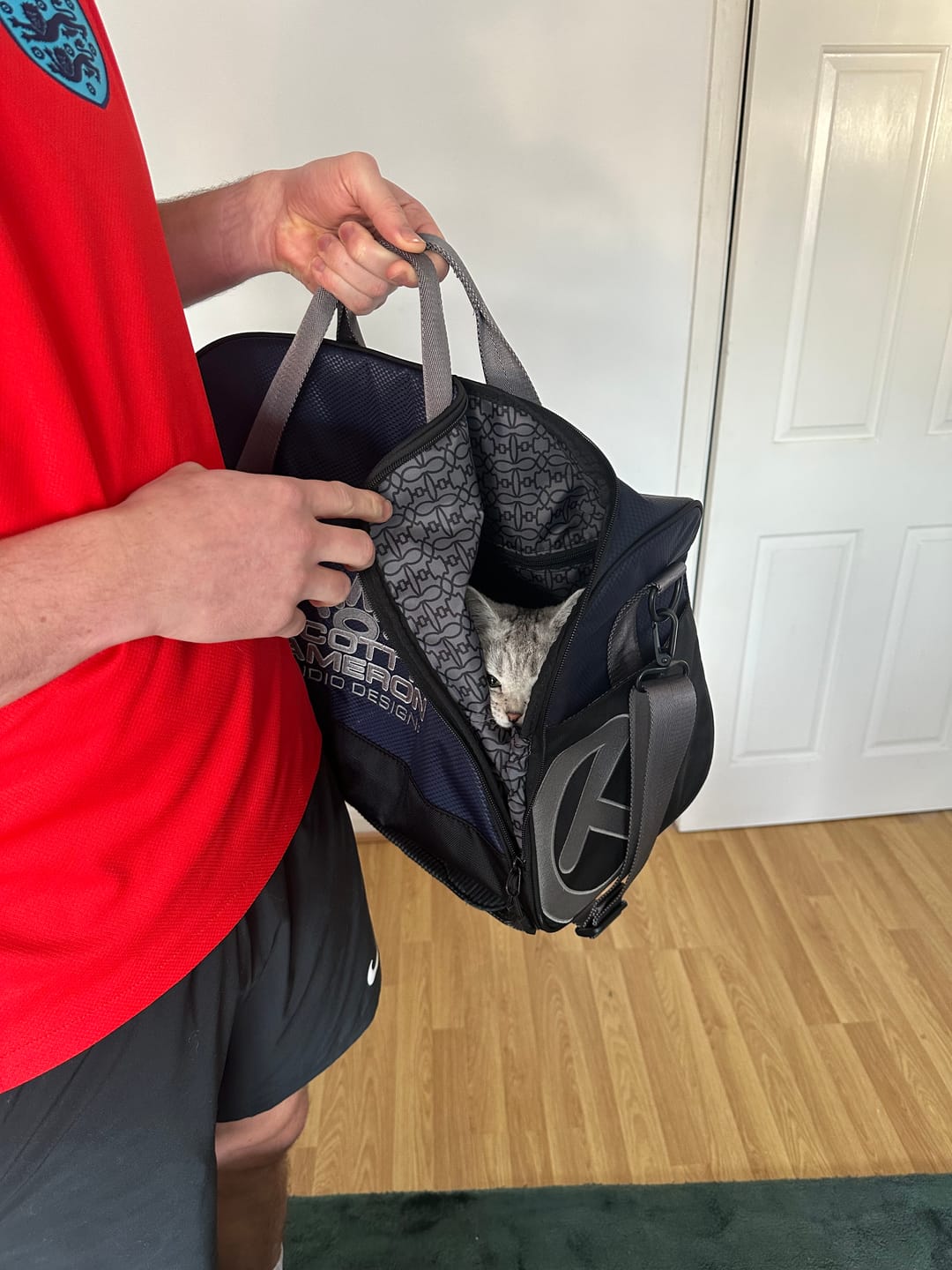 Customer photo review of Cat Spray