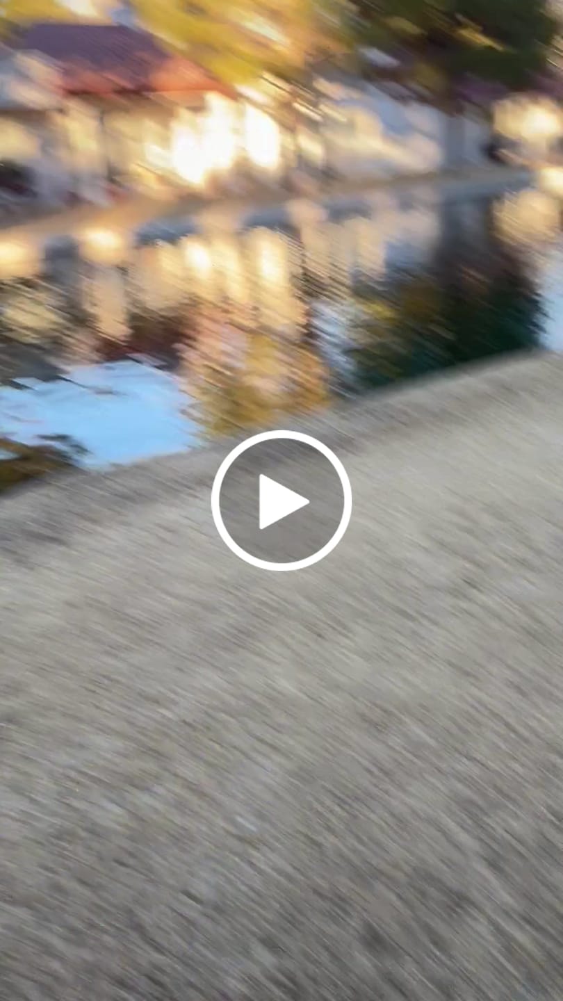 Customer video review of Velvet Human Hoodie - Snow Cone