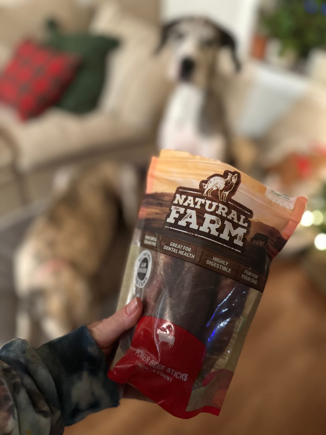 Customer photo review of Power Beef Sticks - 6 Inch