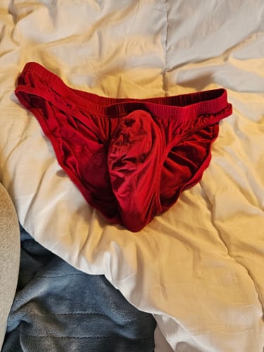 Customer photo review of Modal 0in Low-Rise Bikini Briefs No Fly 3pk Emerald/Purple/Red