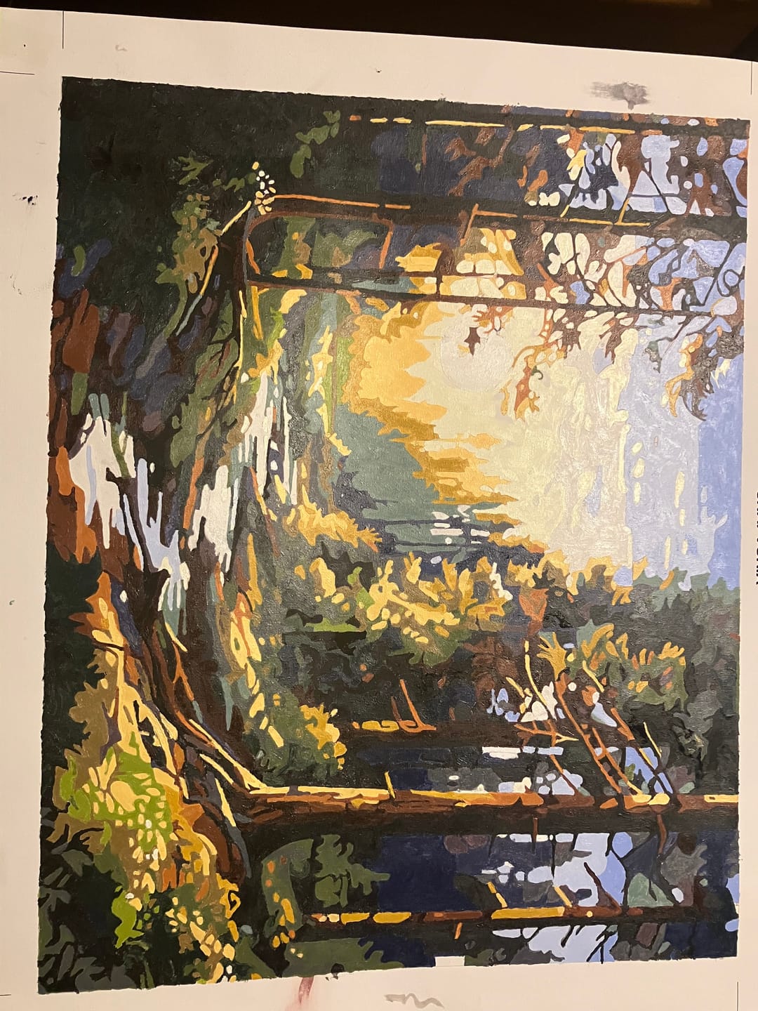 Customer photo review of Sunlit Tranquility