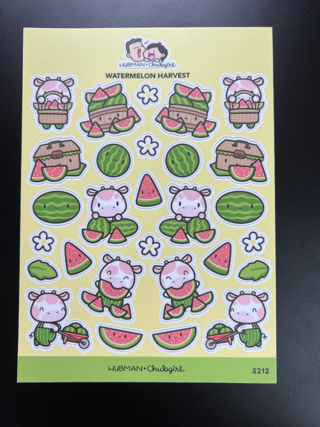 Customer photo review of Watermelon Harvest Sticker Sheet