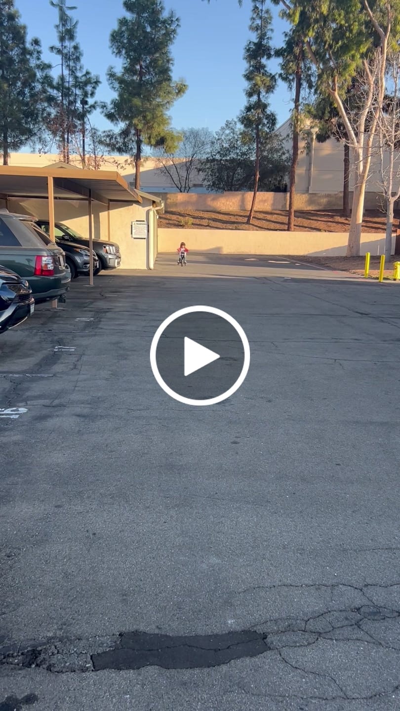 Customer video review of Cruiser 12