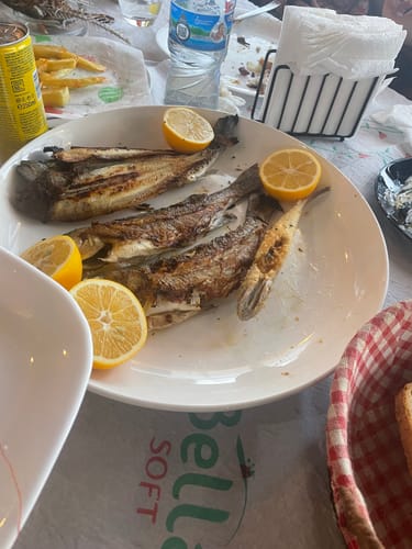 Customer photo review of LA LIBERTA' ALIMENTARE (Digitale)