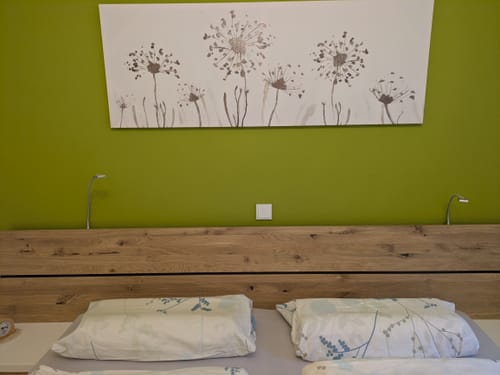 Customer photo review of Hisleep Premium Traumkissen