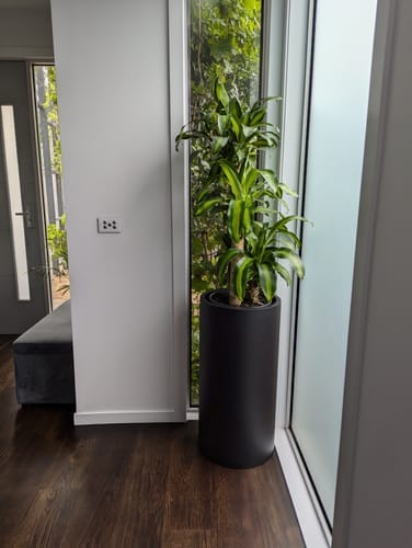 Customer photo review of Loob