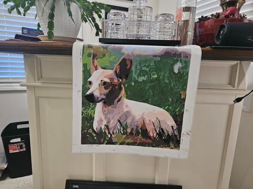 Customer photo review of Custom Paint by Number
