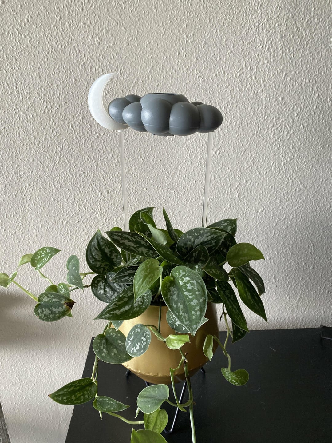 Customer photo review of Stormy Dripping Rain Cloud with Glow in the Dark Moon Charm