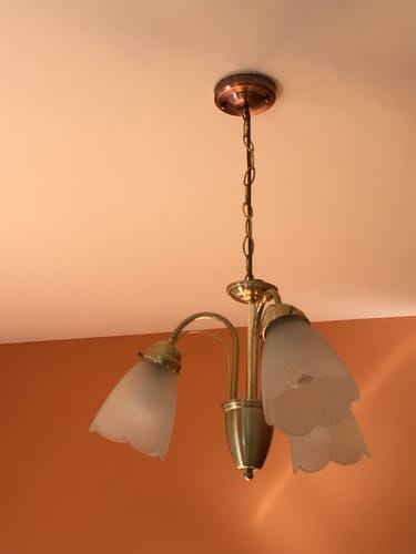 Customer photo review of Ceiling Rose Cover Plate Lamp ,chandelier, plant Hook-Copper