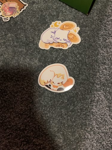 Customer photo review of Free Mystery Sticker at $30
