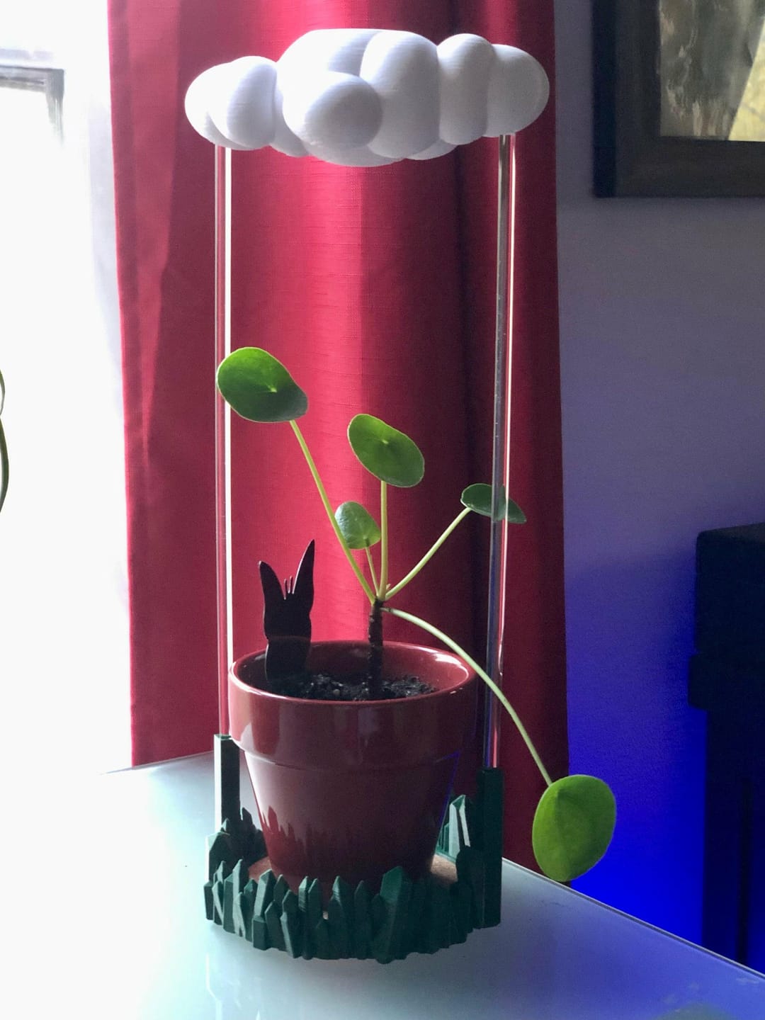 Customer photo review of Original Dripping Rain Cloud