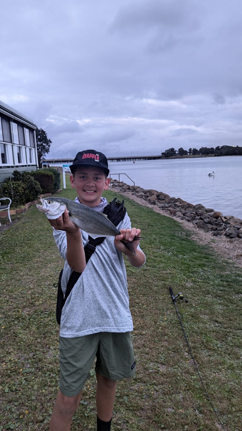 Customer photo review of GUPPIE SHAD