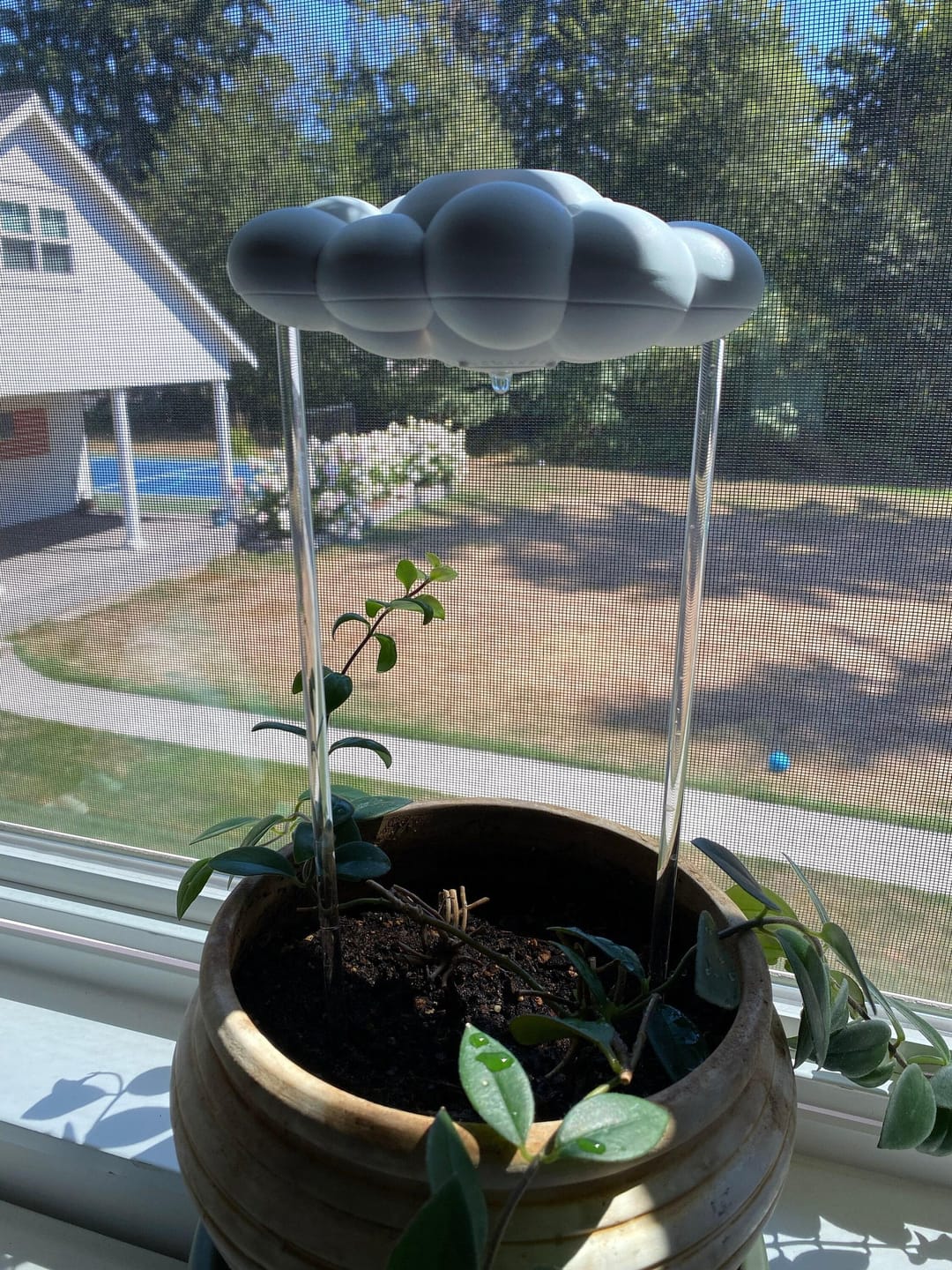 Customer photo review of Original Dripping Rain Cloud