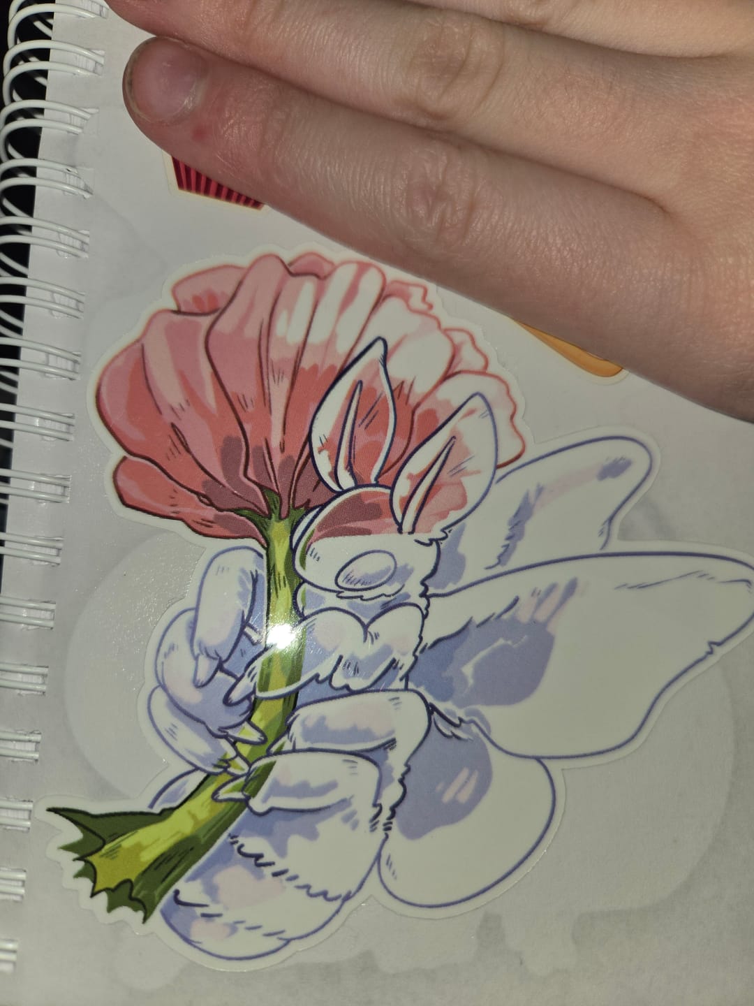 Customer photo review of Glass Moth Sticker