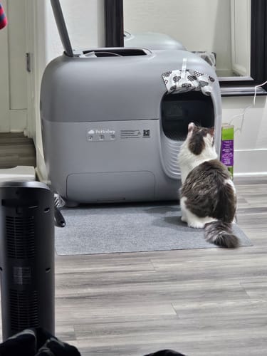 Customer photo review of Self-Cleaning Litter Box