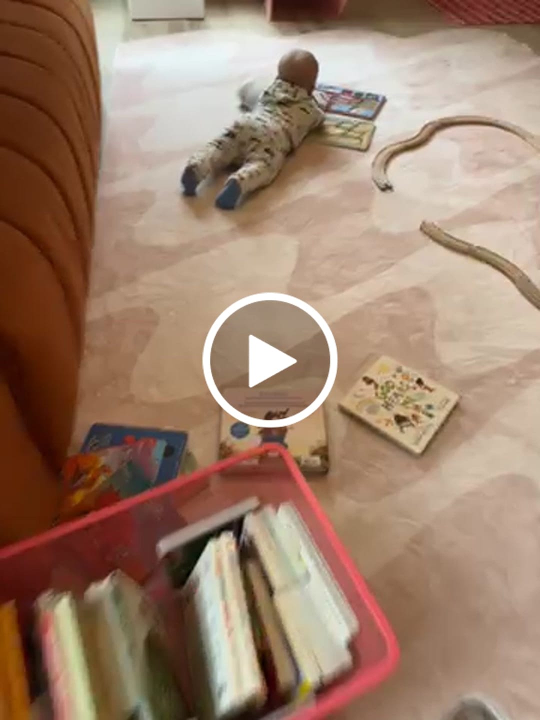 Customer video review of Pastel Irregular Shaped Wavy Rug by Johann Banta
