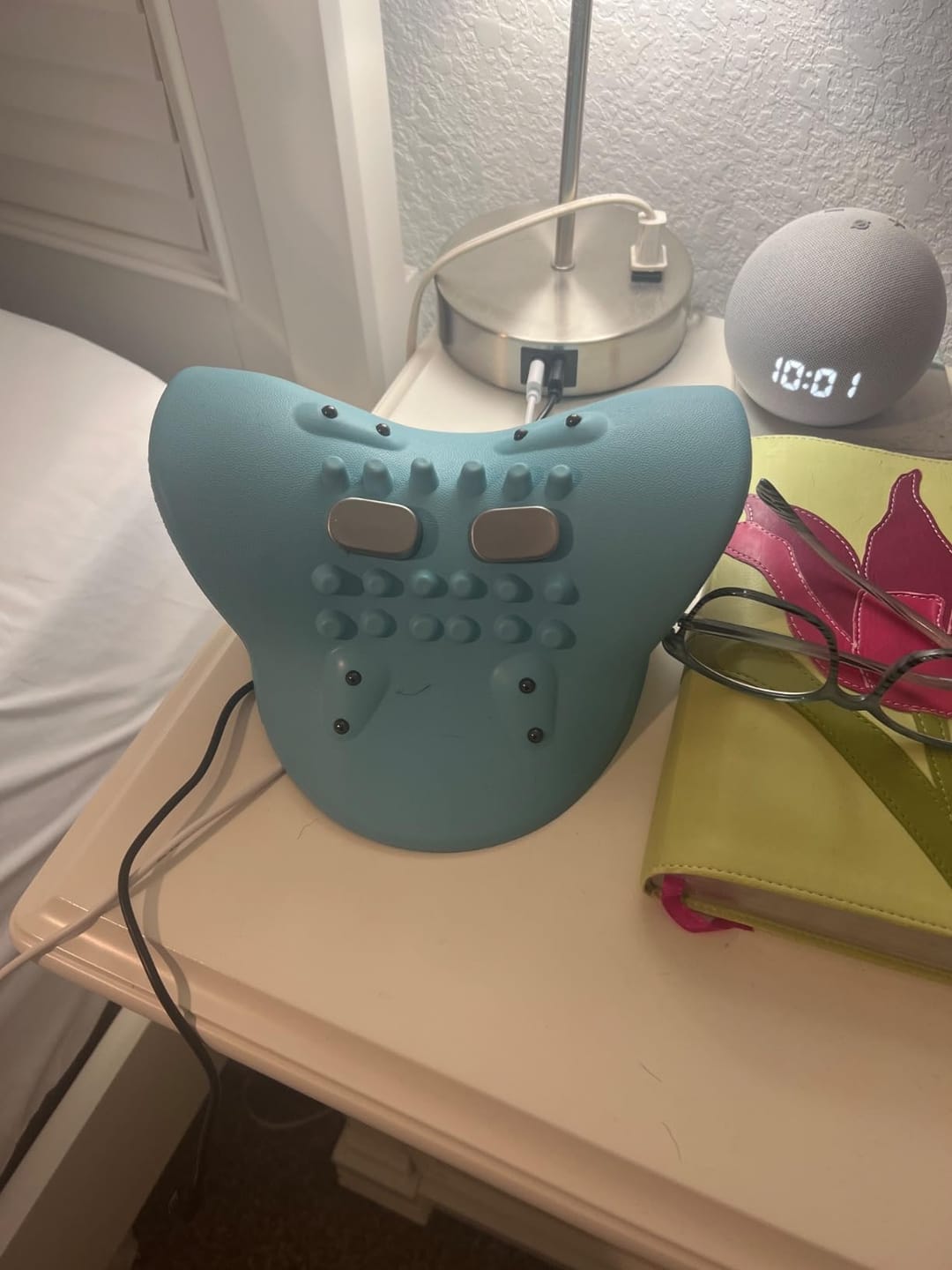 Customer photo review of FisioRest Pro