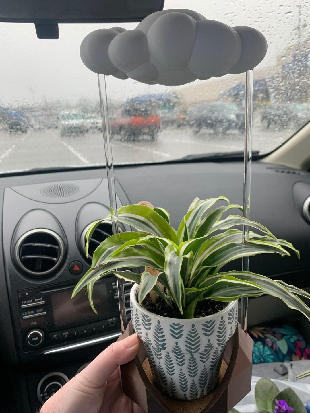 Customer photo review of Original Dripping Rain Cloud