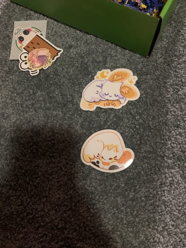 Customer photo review of Free Mystery Sticker at $45