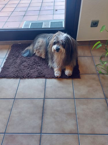 Customer photo review of Premium - CleanyMat