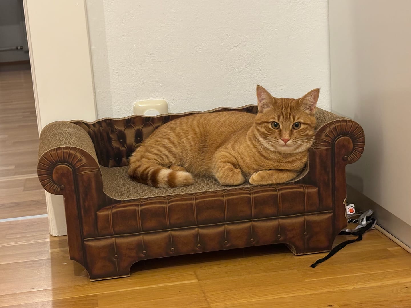 Customer photo review of LöwenLounge