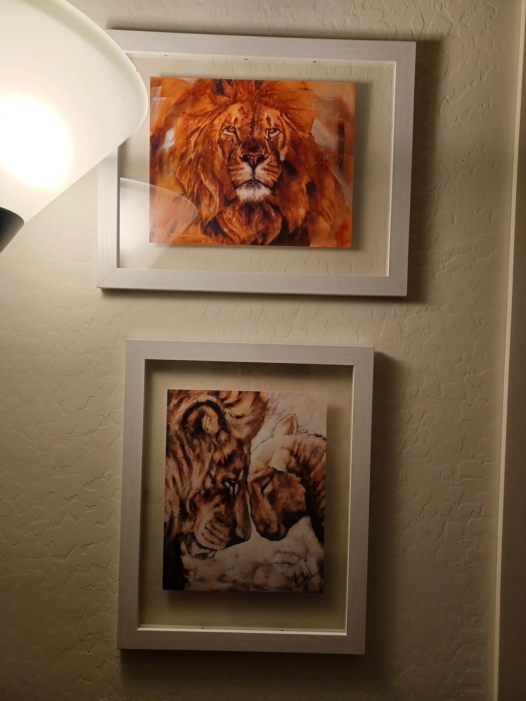 Customer photo review of Compassion of a King - White Background