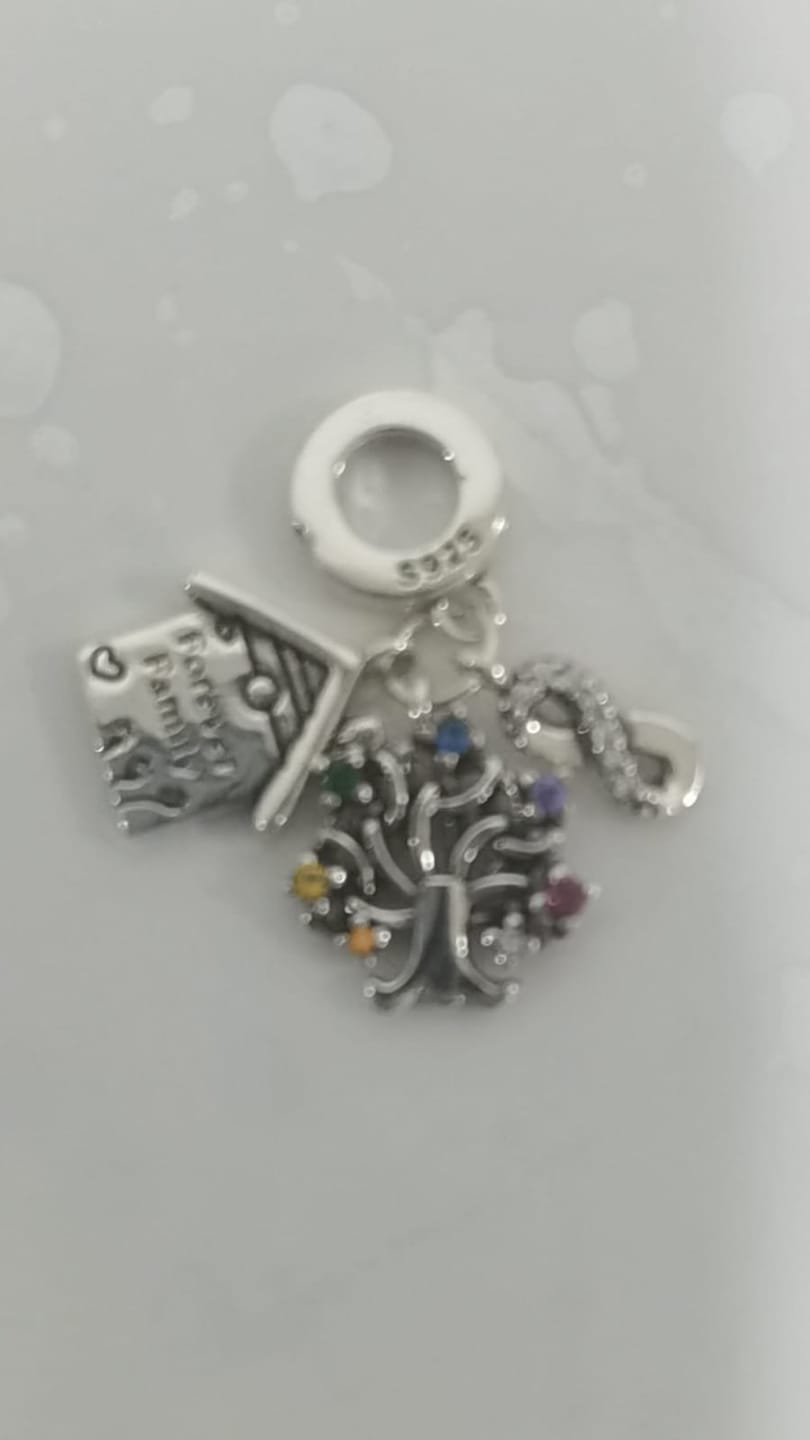 Customer photo review of Charm Casa, Árbol y Infinito "Forever Family"