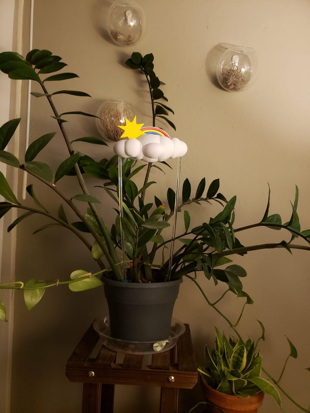 Customer photo review of Original Dripping Rain Cloud