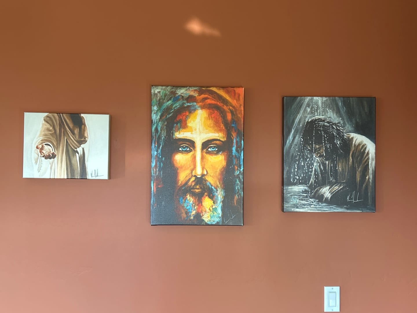 Customer photo review of The Shroud of Turin - The Colors of Life