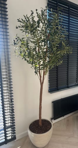 Customer photo review of Kunst Olijfboom 180cm