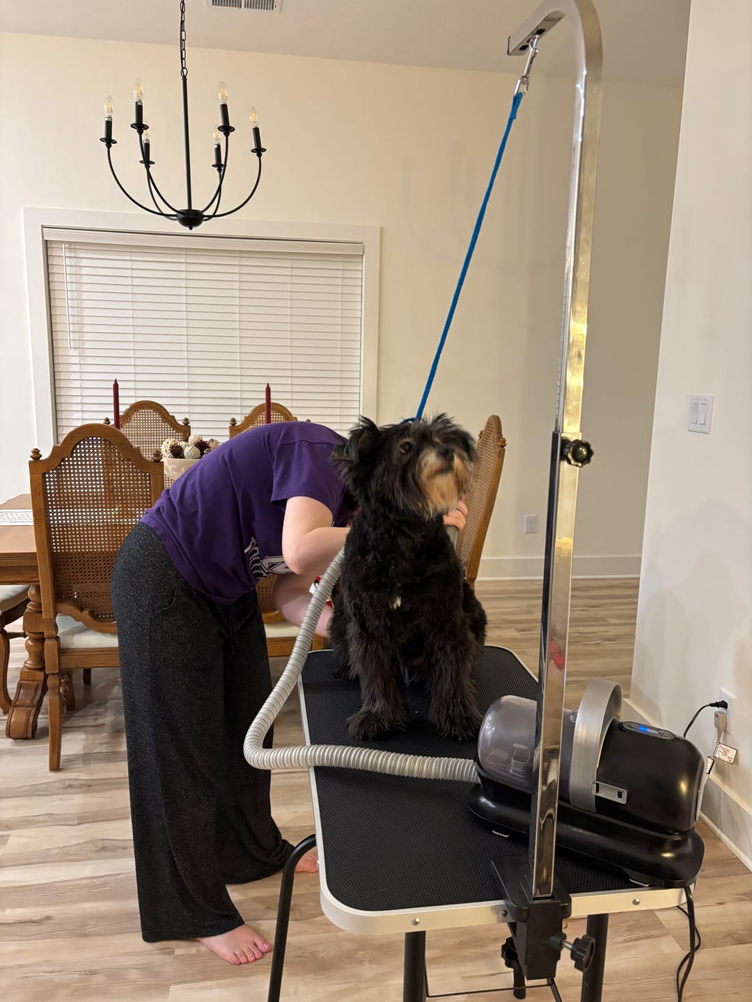 Customer photo review of Original Pet Grooming Vacuum Kit