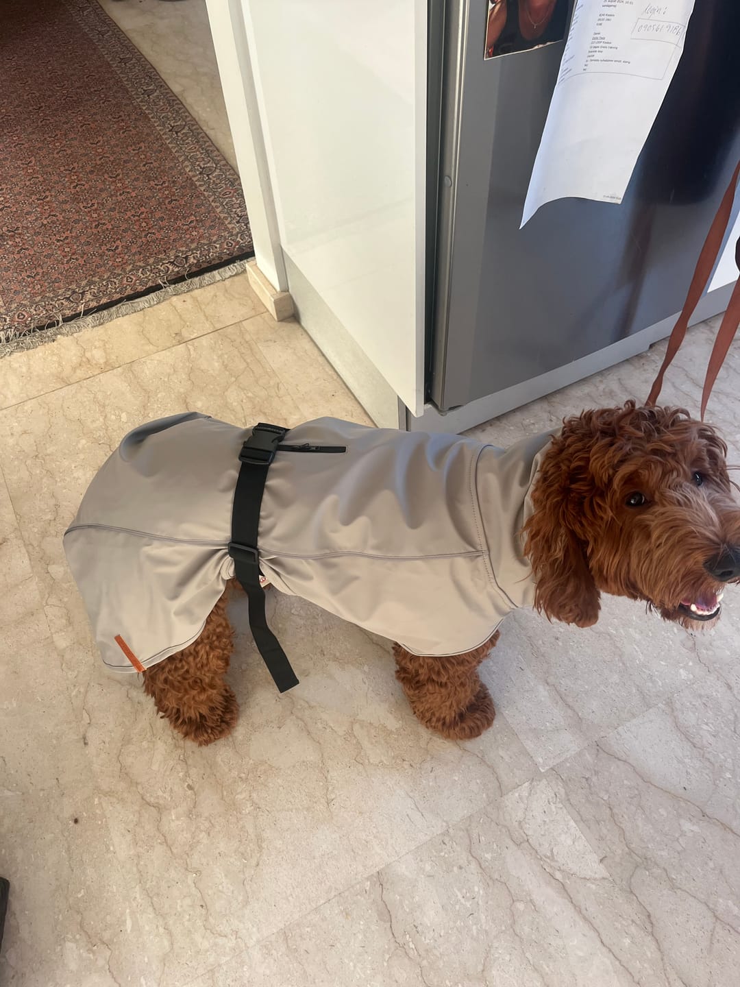 Customer photo review of Trixie - Be Nordic Regnfrakke, Sand
