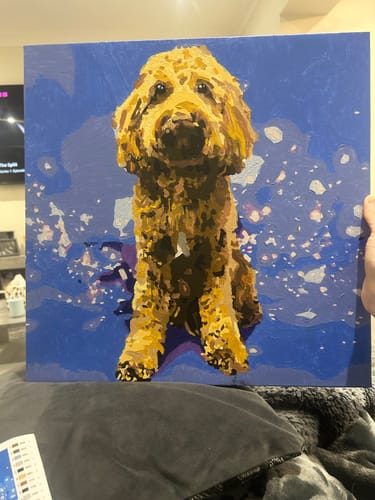 Customer photo review of Custom Paint by Numbers Kit for Personalized Artwork