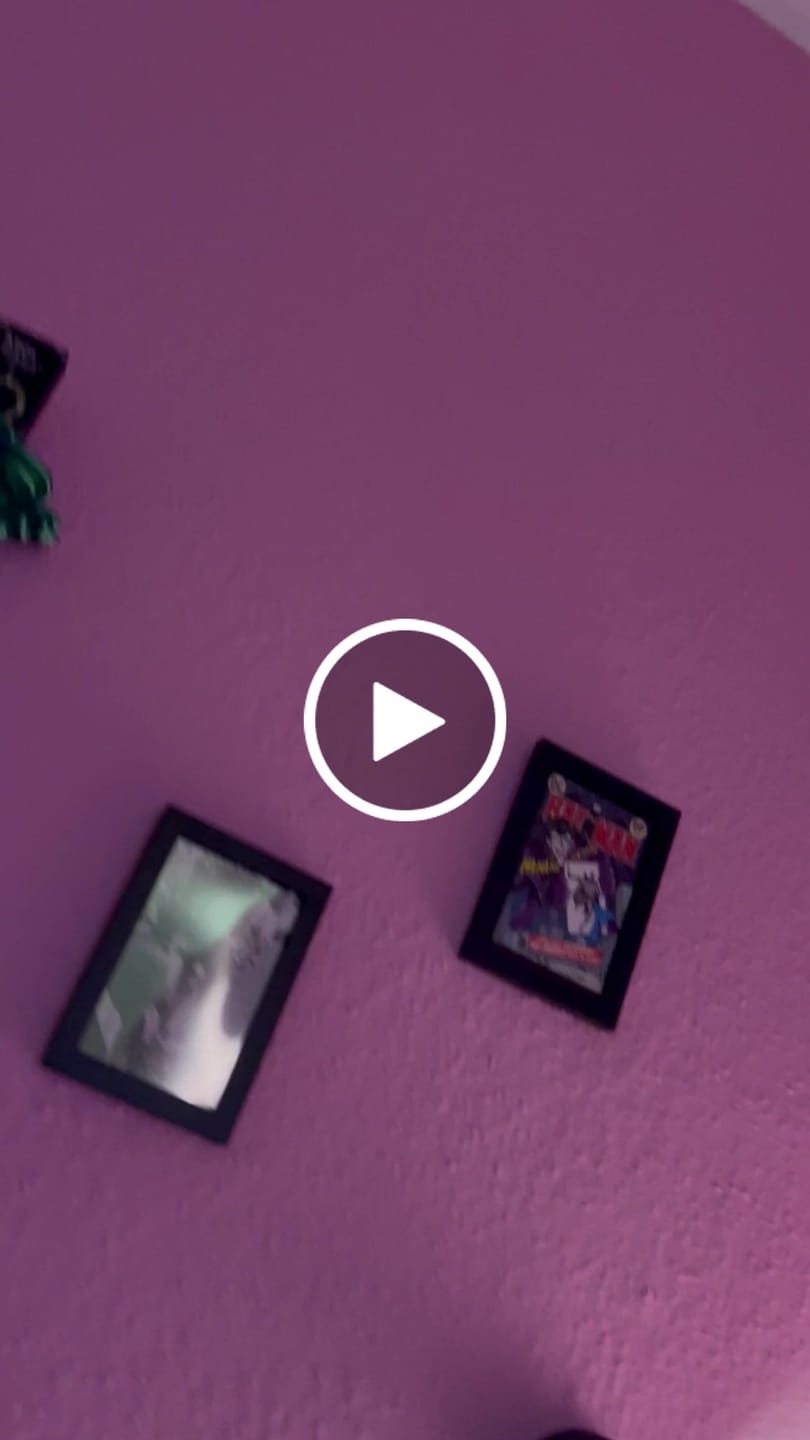 Customer video review of Pilz Wandregal Bundle + Gratis Regal