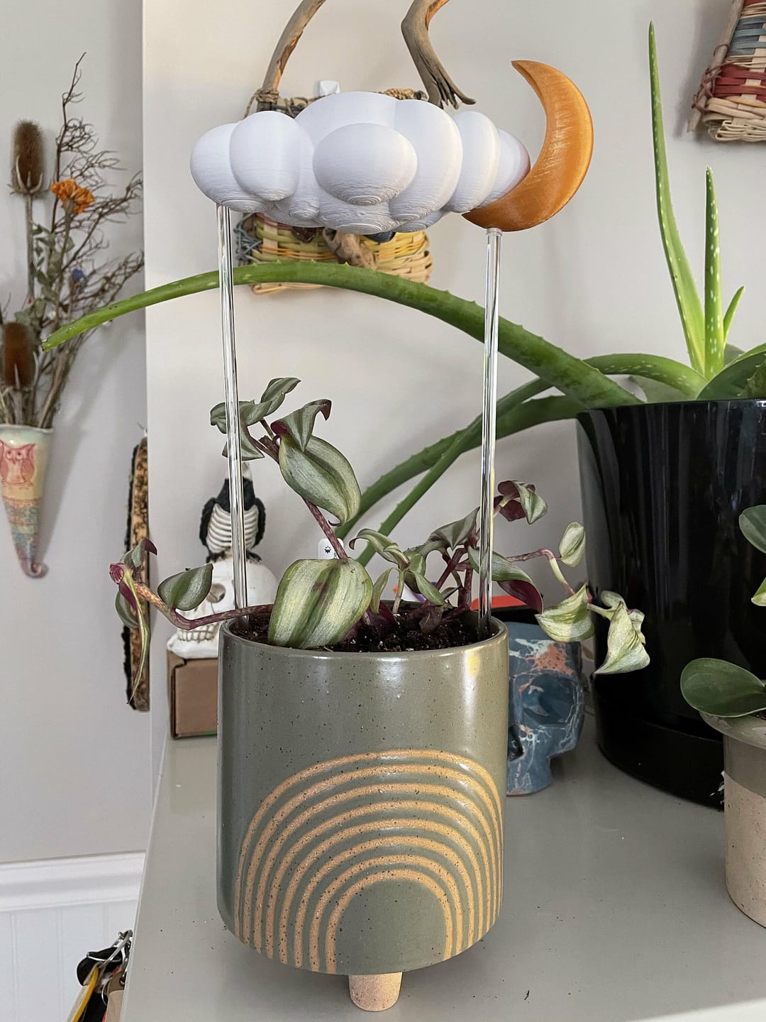 Customer photo review of Original Dripping Rain Cloud
