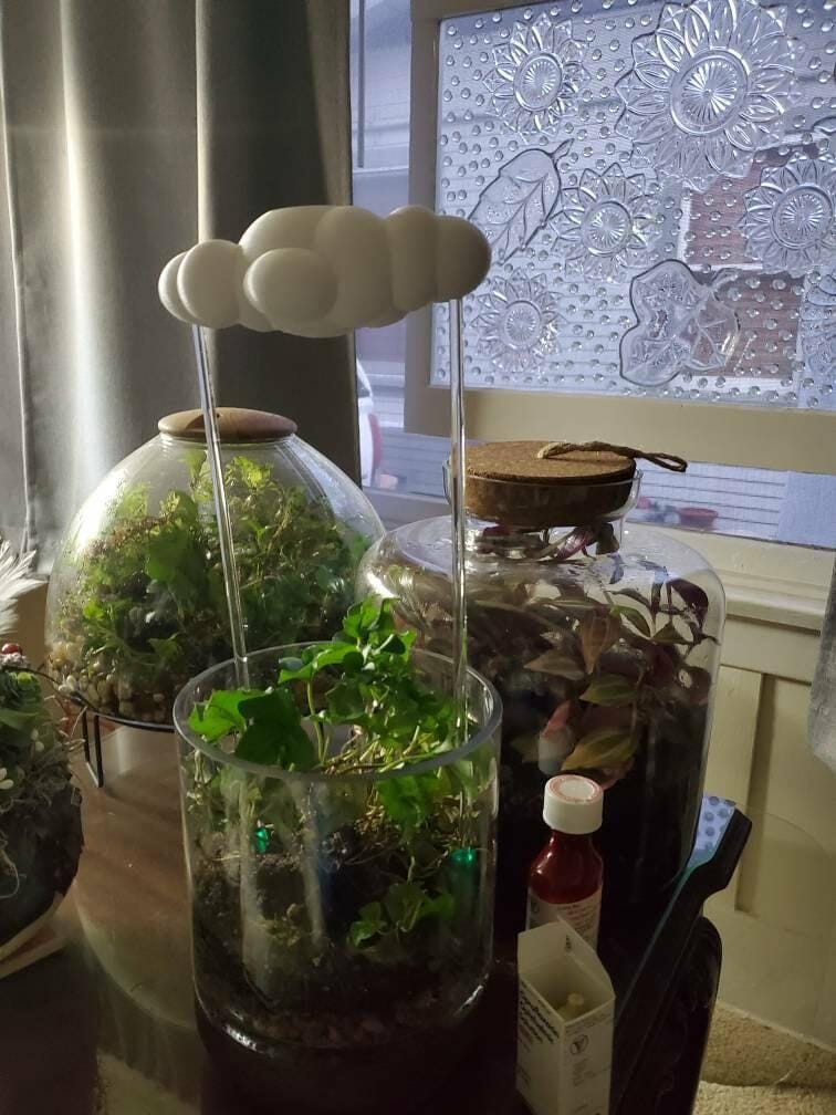 Customer photo review of Original Dripping Rain Cloud