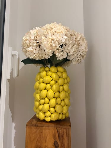 Customer photo review of Grande Hortensia (5 tiges) - Crème