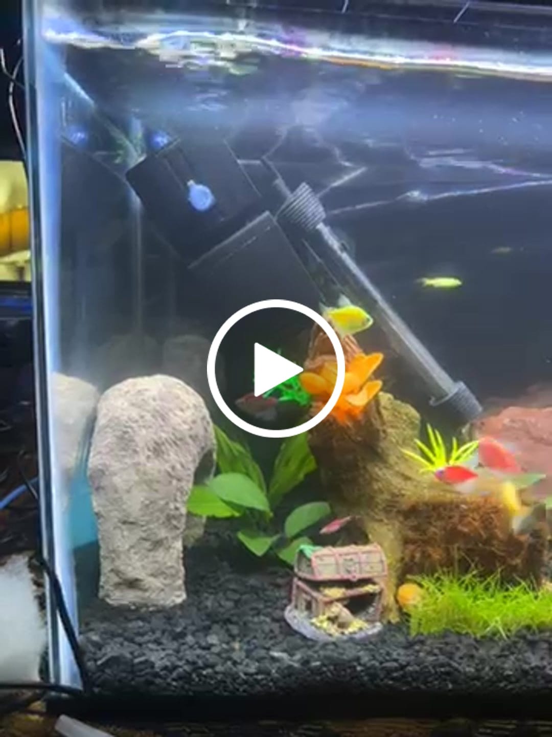 Customer video review of Shark PRO