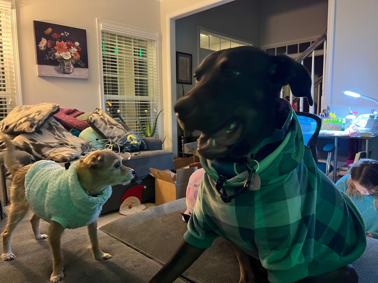 Customer photo review of Velvet Human Hoodie - Turquoise Checkered