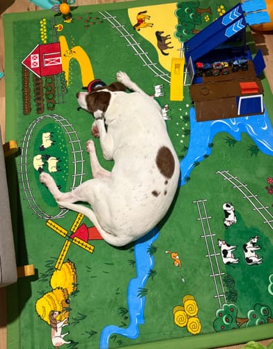 Customer photo review of Farm Relax Mat - Dispatch around 20th Dec