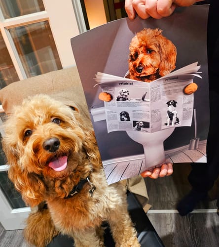 Customer photo review of Important meeting - Personalised poster