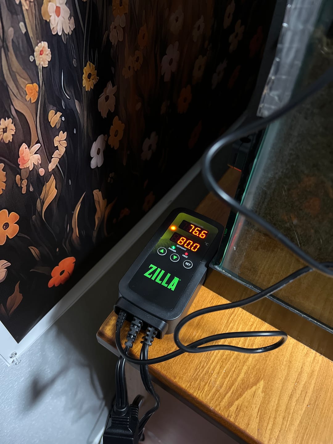 Customer photo review of Digital Temperature Controller