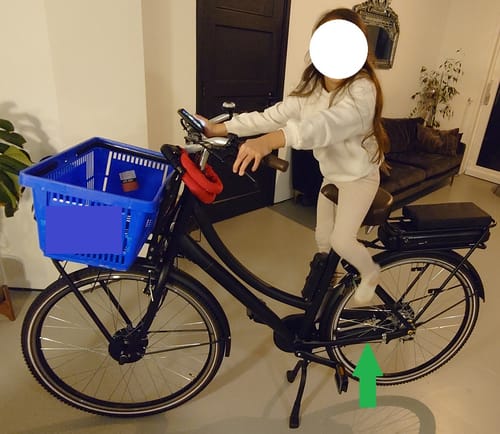 Customer photo review of E-Cargo N3
