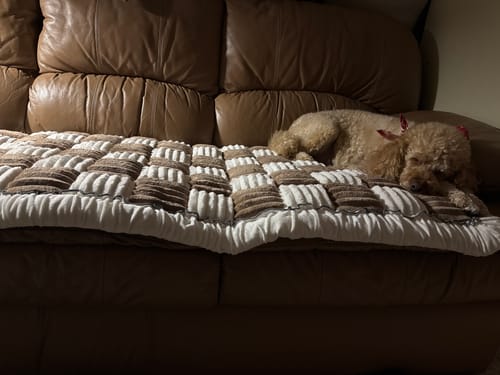 Customer photo review of NEW Plush Furniture Protector Couch Cover