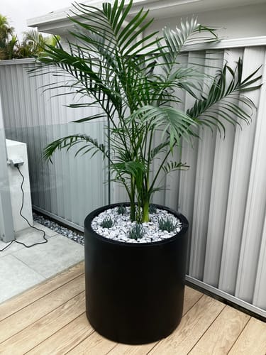 Customer photo review of Choob